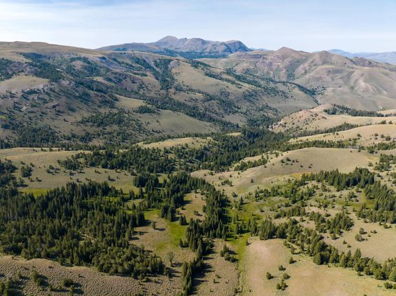 Nicholia Creek Ranch