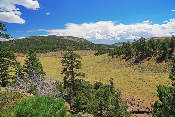 Snake River Land & Cattle Ranch