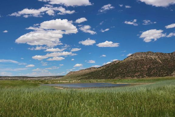 Snake River Land & Cattle Ranch