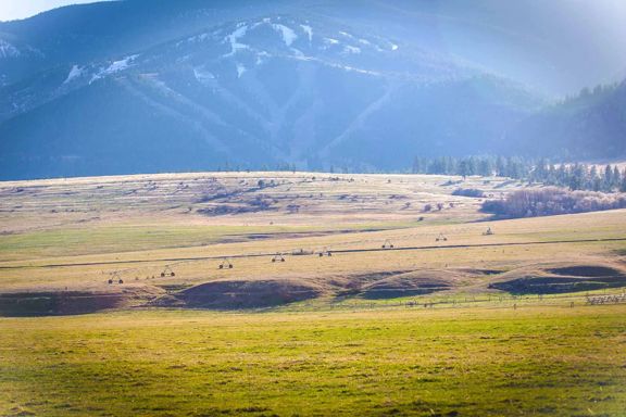 Lolo Ranch
