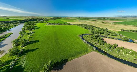 Dudis Farm