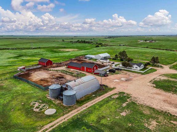 Sidwell Hereford Ranch