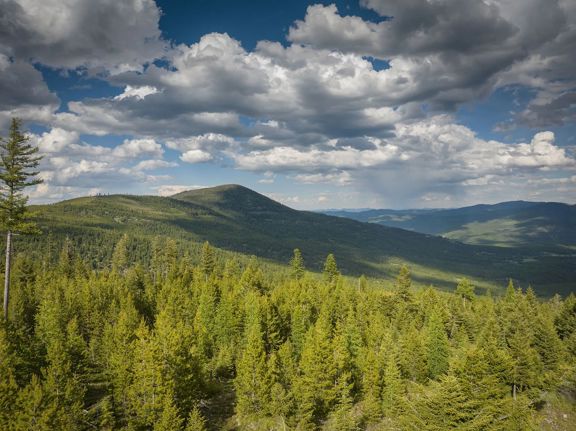 Haskill Mountain Retreat