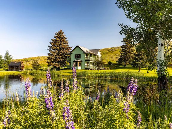 Porcupine Creek Homestead