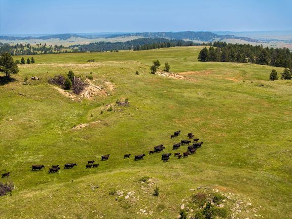 Mullenger Ranch
