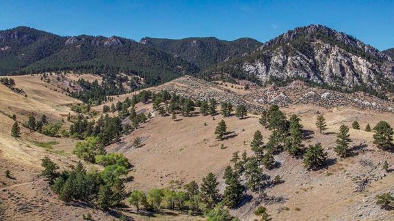 Little North Fork of Crazy Woman Ranch