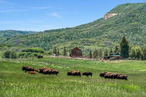 Middle Creek Ranch