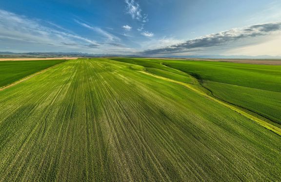 Amsterdam 1,100± Acre Farm