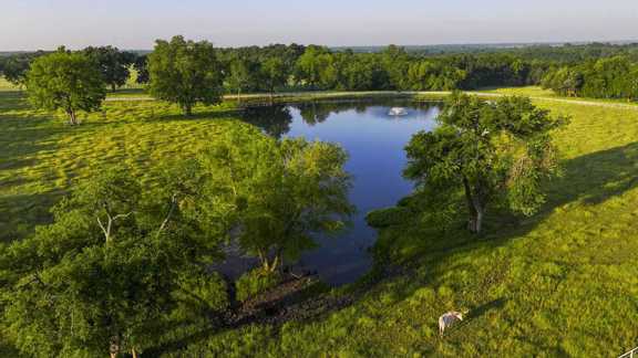 Twin Creeks Reserve at Ralph Hall Lake