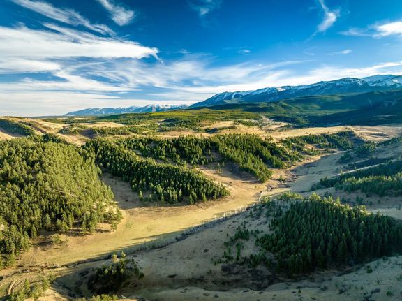 Beartooth Foothills Ranch