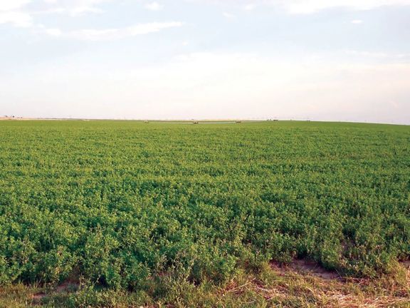 Wolf Creek Sod Farm