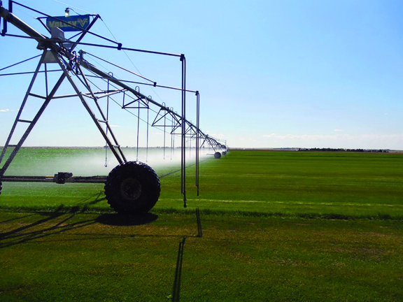 Wolf Creek Sod Farm