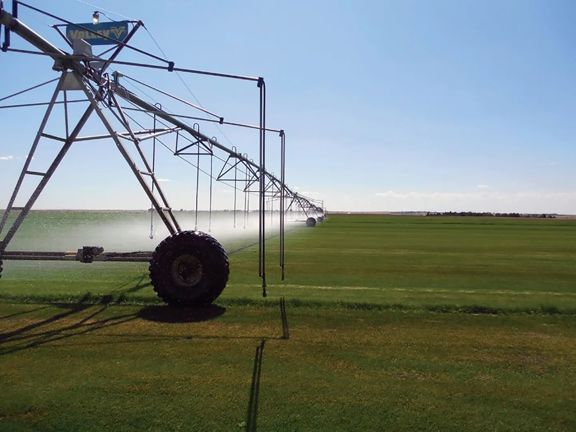 Wolf Creek Sod Farm