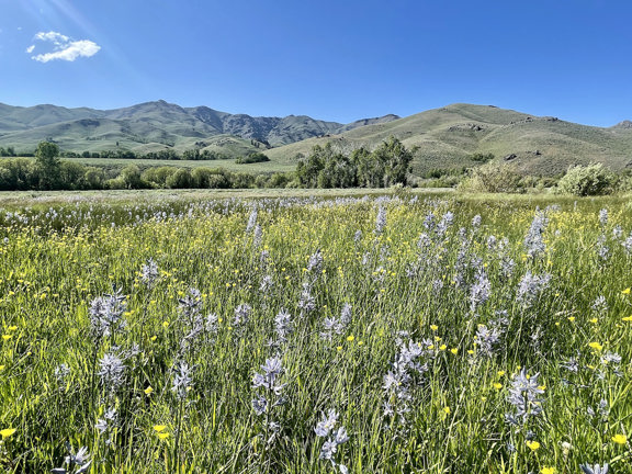 Iron Mine Ranch