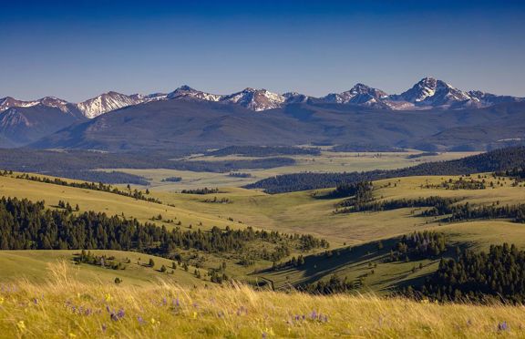 Rocking Chair Ranch