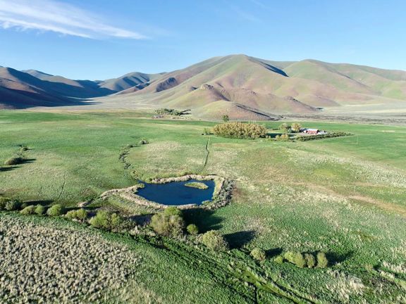 Lava Lake Home Ranch