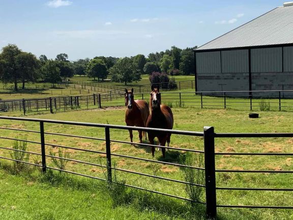 Centerville Equestrian Center