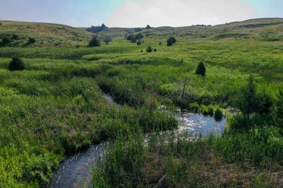 Otter Creek Ranch