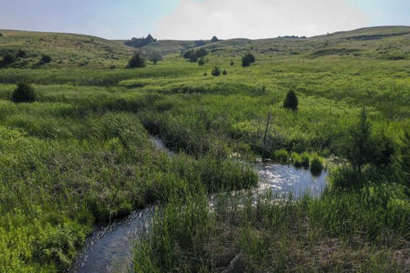 Otter Creek Ranch