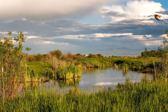 Story Creek Preserve