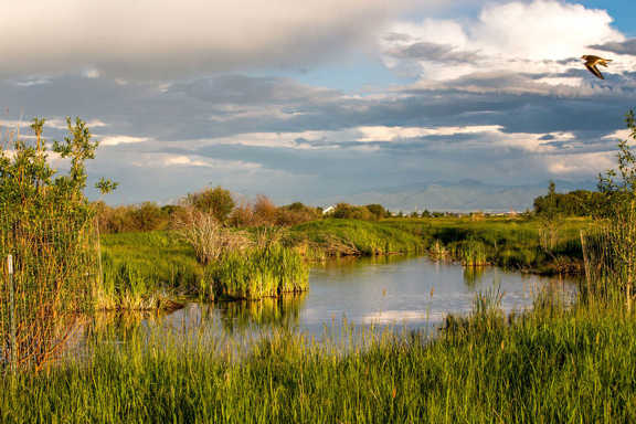 Story Creek Preserve