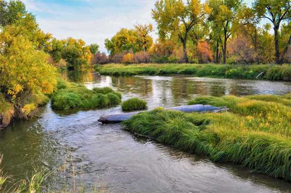 Tongue River Refuge