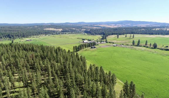 Ronde River Ranch