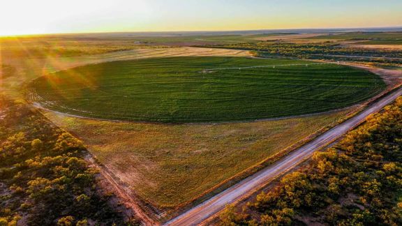 BBF-Champion Creek Ranch