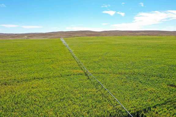 Nebraska Irrigated Farm