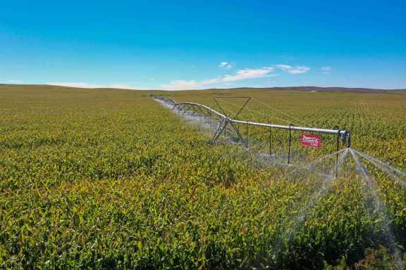 Nebraska Irrigated Farm