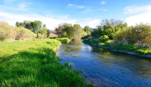 North Renegade Ranch