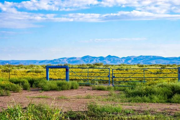 Wildhorse Ranch