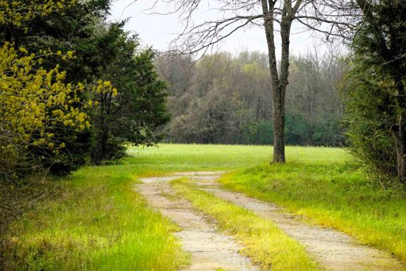 Melton Branch Ranch