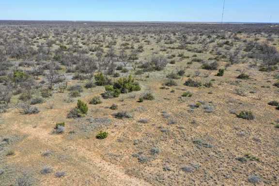 Lake Alan Henry 157 Ranch