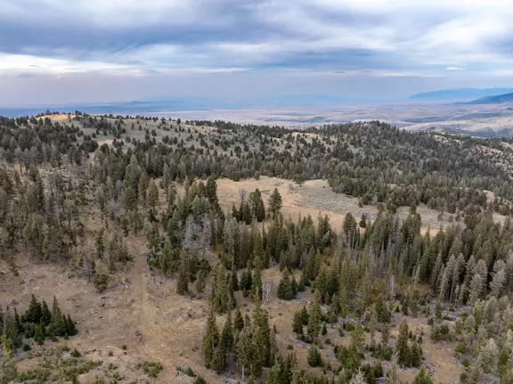 Carter Creek Ranch