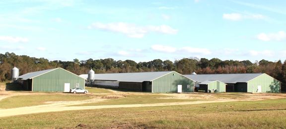 86-Acre Poultry Farm for Sale in Rochelle, GA