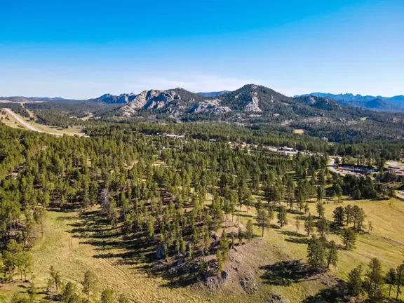 40-Acre Buckhorn Mountain Ranch in Custer County,