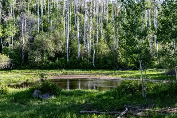 782-Acre Buckhorn Lakes Ranch - Unbelievable Mount