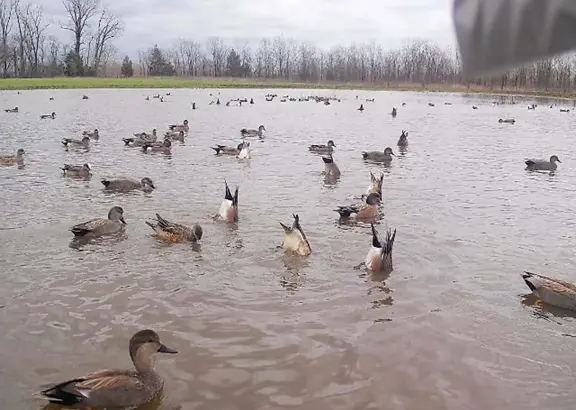 Turnkey 444-Acre Hunting Property in De Kalb, TX f