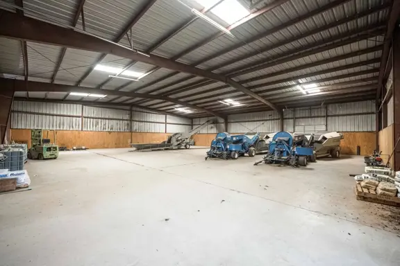 Income-Producing Pecan Farm in Mesquite, New Mexic