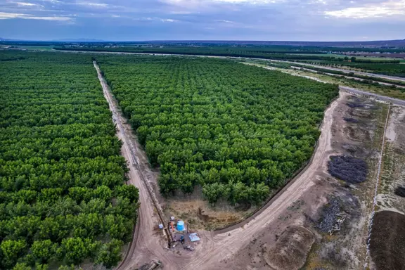 Income-Producing Pecan Farm in Mesquite, New Mexic