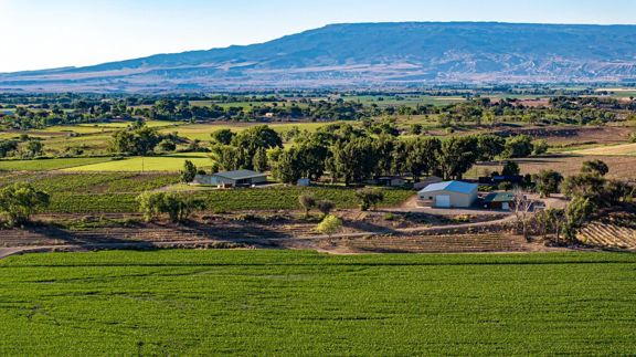 Berkeley Estate Cellars - 218-Acre Vineyard &