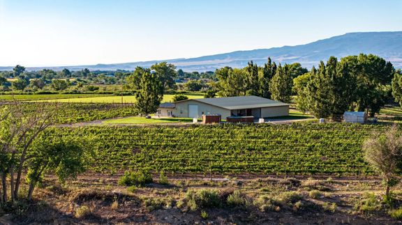 Berkeley Estate Cellars - 218-Acre Vineyard &