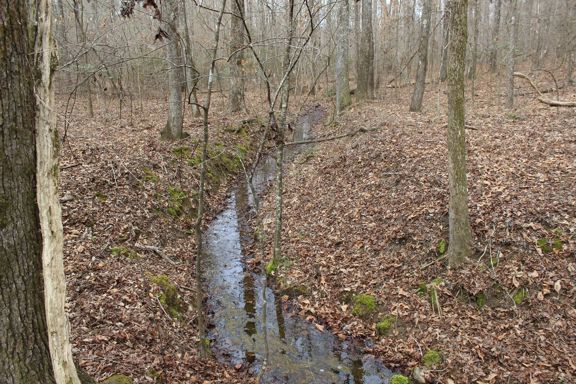 131-Acres of Riverfront Land in Loganville, GA for