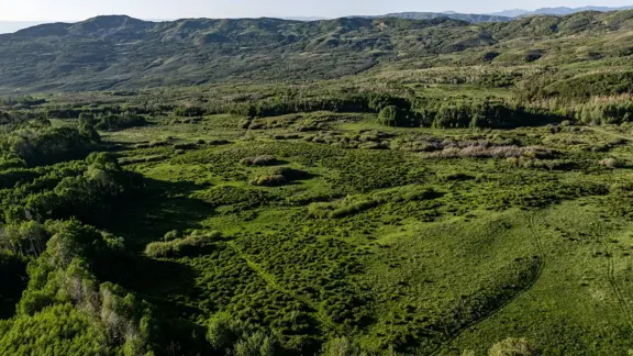 782-Acre Buckhorn Lakes Ranch - Unbelievable Mount
