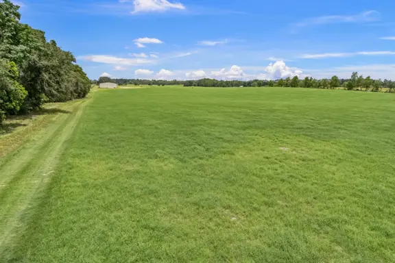 97 Acres of Rolling Land for Sale in Newberry, Flo