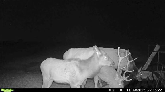 S Bar Ranch - 19,816-Acre Working Ranch in Custer,