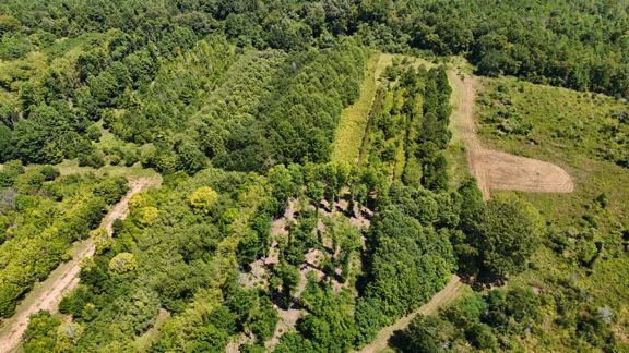 389 Acres of Timberland & Hunting Land for Sal