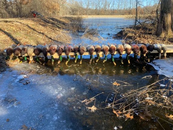 72-Acre Waterfowl Hunting Property with Home in Ba