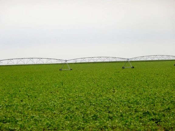 JES Farms in Central South Dakota - 16,395 Acres